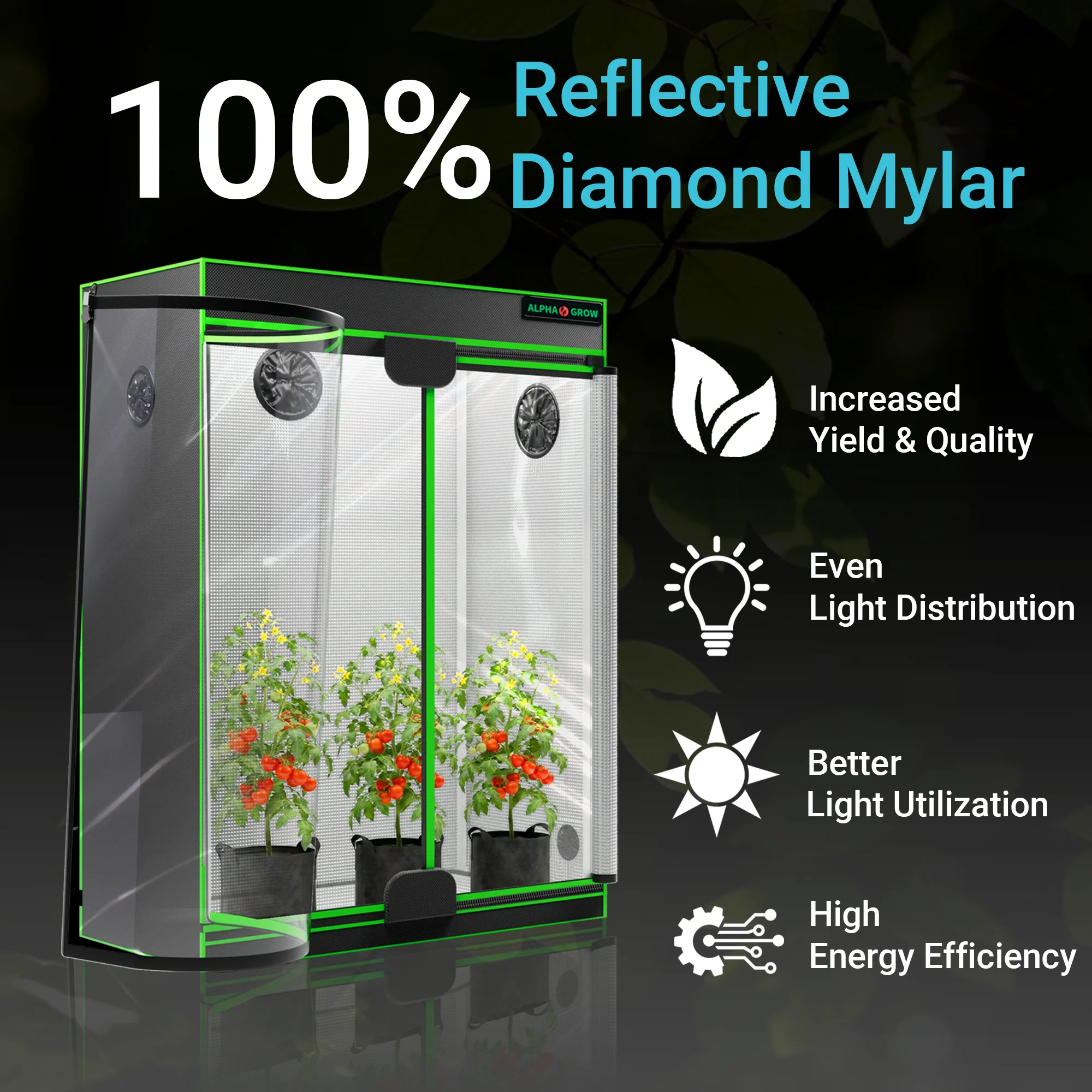 1680D 4x2 Grow Tent Complete K - đánh giá và giá Carbon Filter Inline