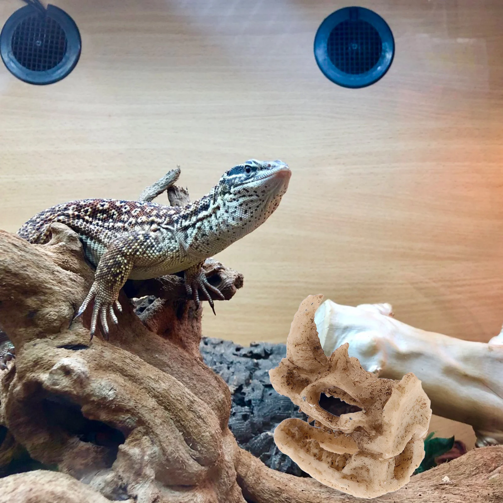 

Resin Rhino Skull Hideout Creative Reptile Shelter for Lizards Snakes Turtles and Small Pets Naturalistic Habitat Decor