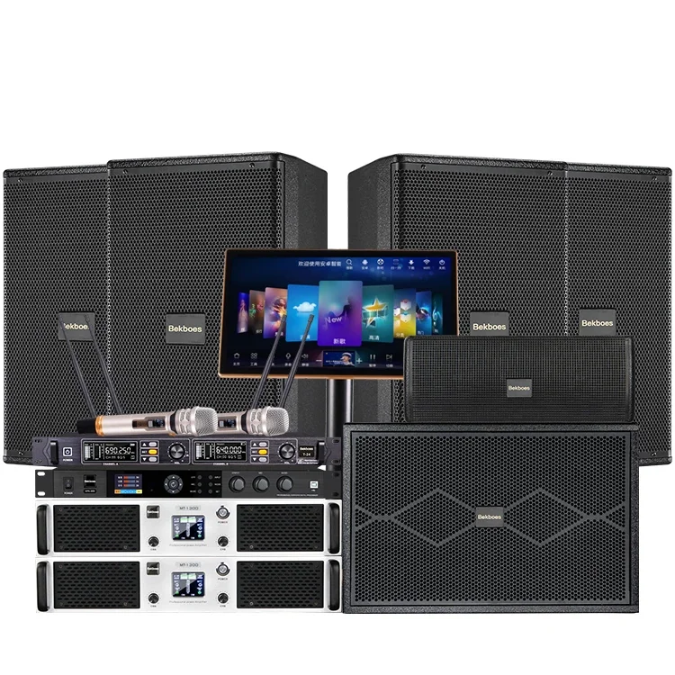 Bekboes speaker lengkap KTV, sistem audio suara profesional karaoke rumah 10 "12" 15"