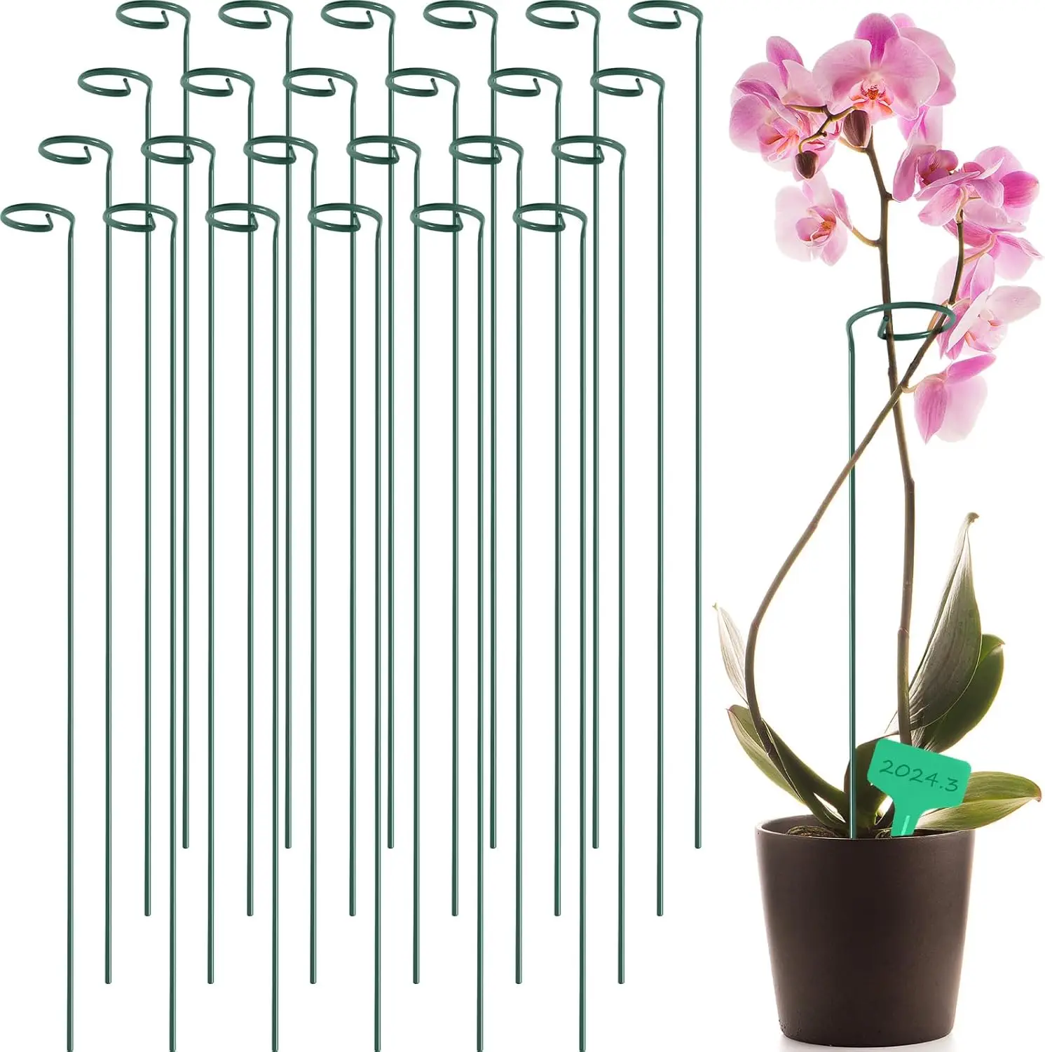 

Plant Support Stakes, with 15 Pcs Plant Labels, Garden Single Stem Flower Support Stake, Plant Cage Support Rings for Flowers