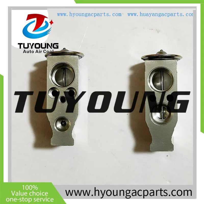 

TUYOUNG favourable price auto ac expansion valve for Suzuki R wagon 9541182K00
