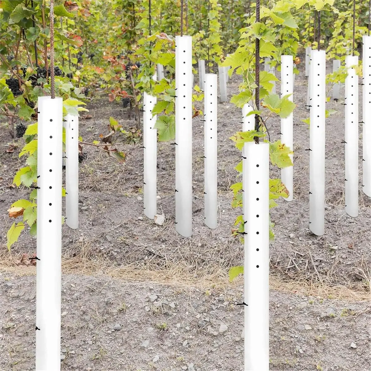a89z]-48-inch-tree-seedling-sapling-grow-tube-vented-seedling-protectors-split-tree-grow-protector-with-releasable-zip-ties