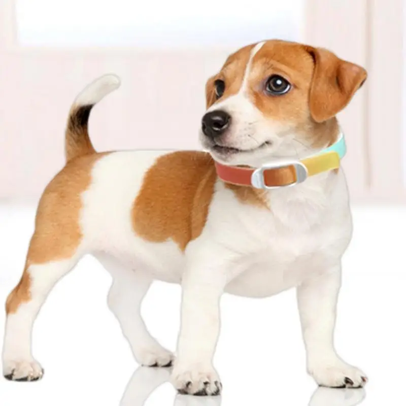 Small Dog Tick Collar Adjustable Cat Tick Collar Per Collar Pet Tick Control For Dogs And Puppies 12-Month Tick Protection And