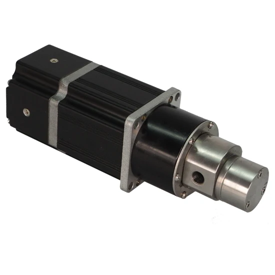 

Mini 24VDC Controlling Flow Magnetic Drive Positive Displacement Pump