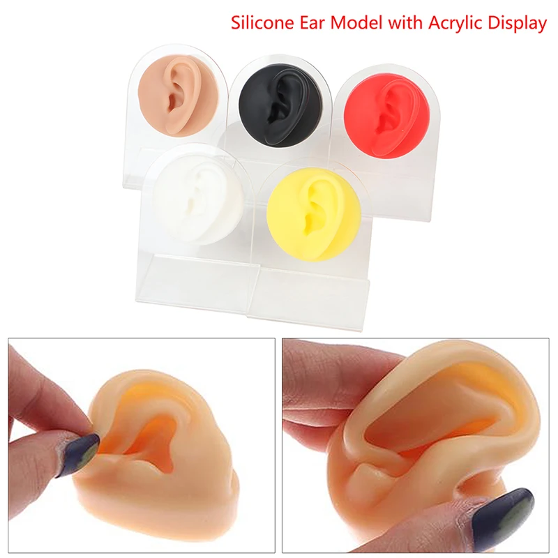 

1PC Silicone Ear Nose Model Professional Practice Piercings Tools Earrings Ear Studs Display Can Be Reused Body Jewelry