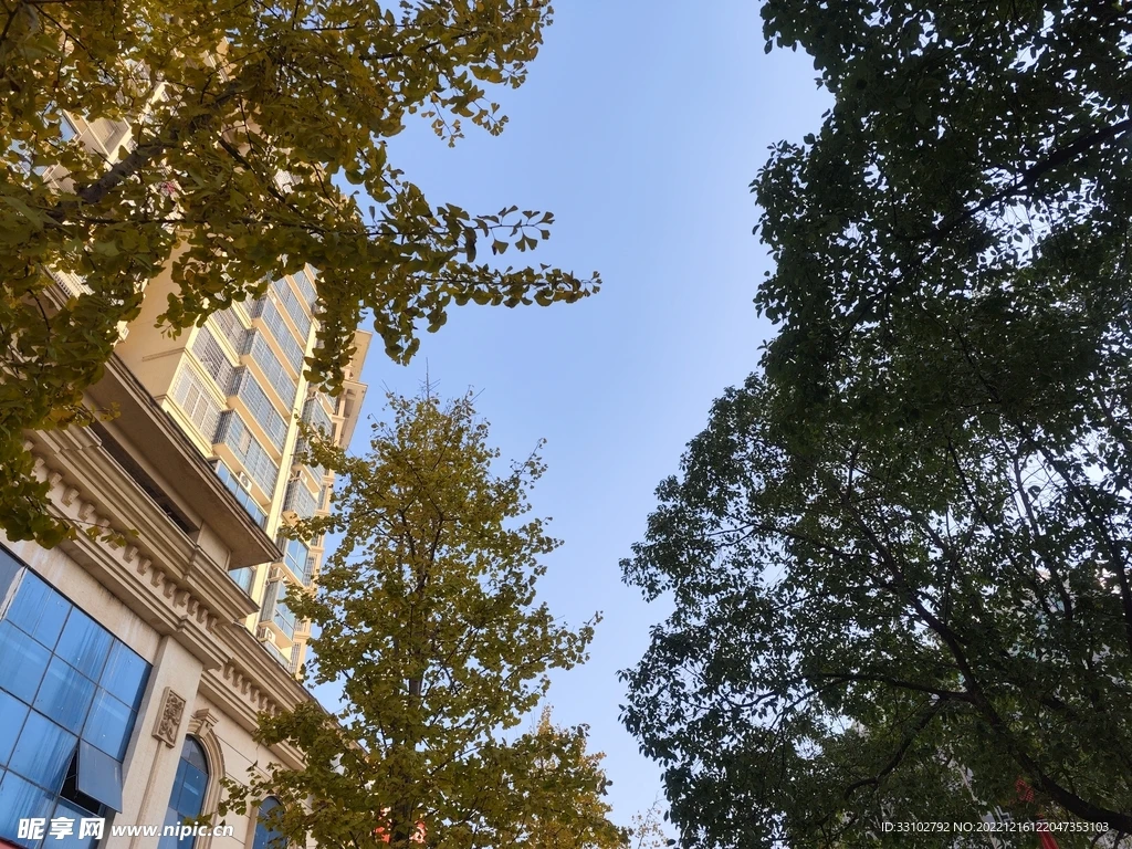 

85mm Front & Rear Tire Wheel Tyre for WLtoys 144001 1/14 RC Drift Racing Car FY08 Upgrade Spare Parts Accessories