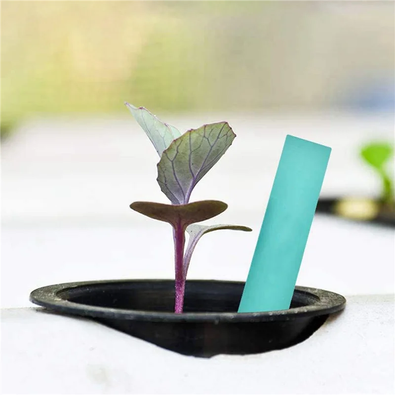 

THIVN-300 упаковка 1,96-дюймовые сетчатые чашки с прорезями, широкий фильтр для губ, сетка для растений, корзина для ведра для гидропоники, аквапоники, орхидей