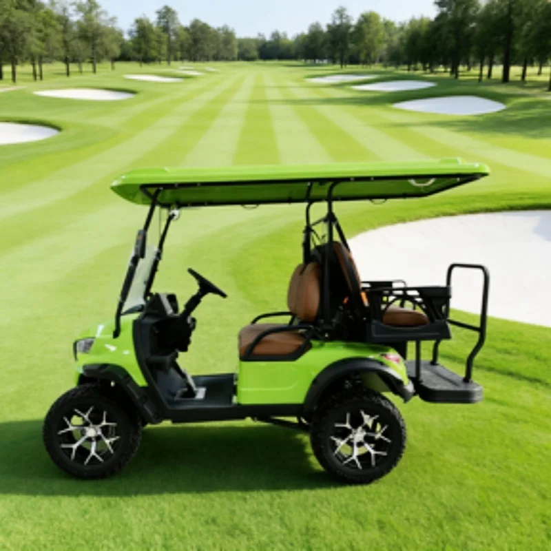 

Fashion Special Transportation Sightseeing Travel New Energy Hunting Buggy 4000W/5000W 60V/72V Electric Golf Cart Save Energy