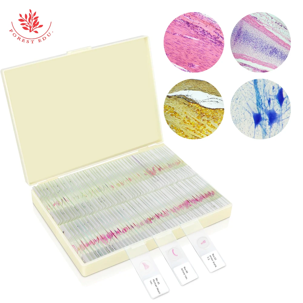 Histology Slides 100pcs FRT2001 Normal Tissue Teaching Resource Biology Prepared Slides Laboratory Specimen Microscope