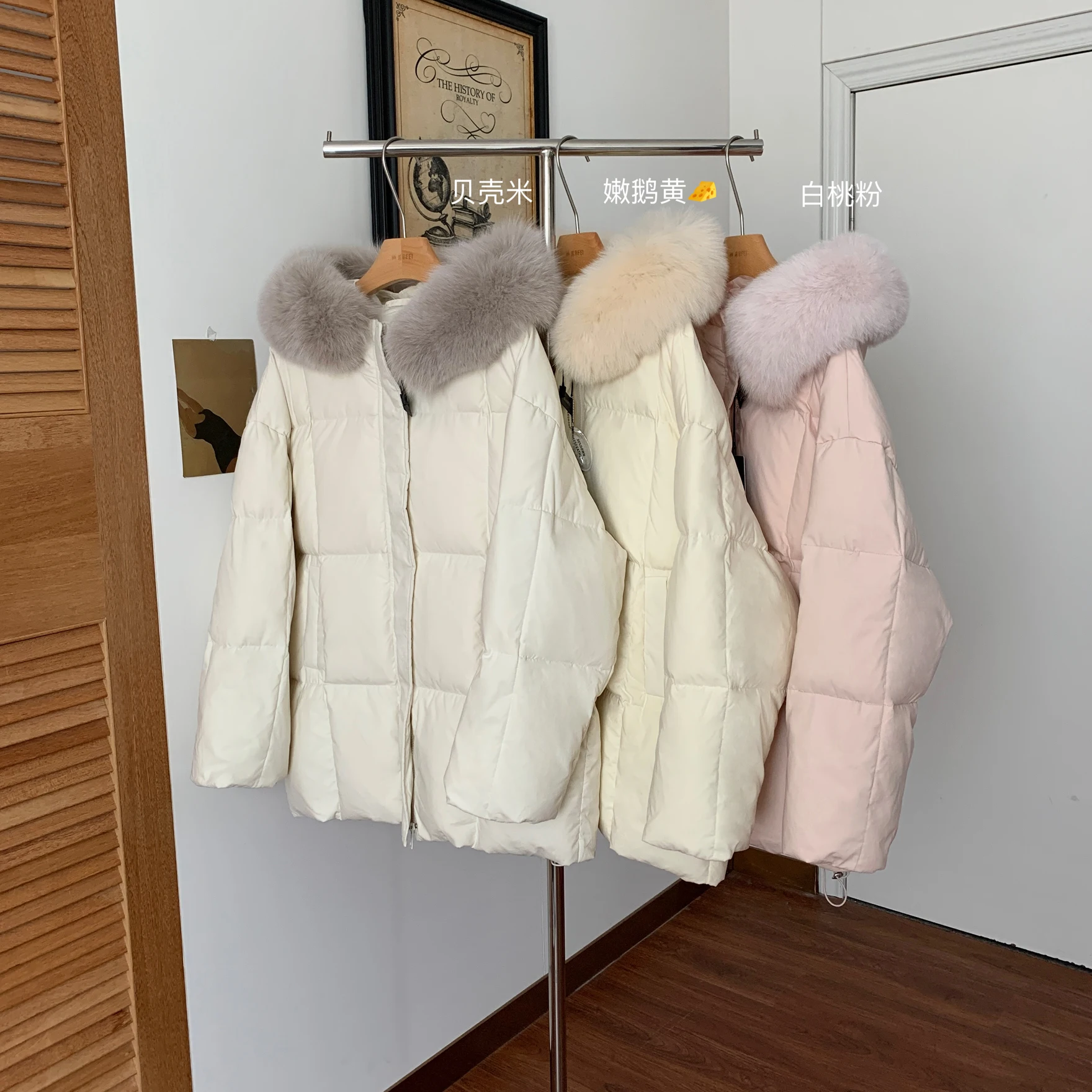 Women'a Winter Thick Warm White Duck Down Coat Lady Winter Fox Fur Collar Hooded Long Sleeve Down Padded Outwear