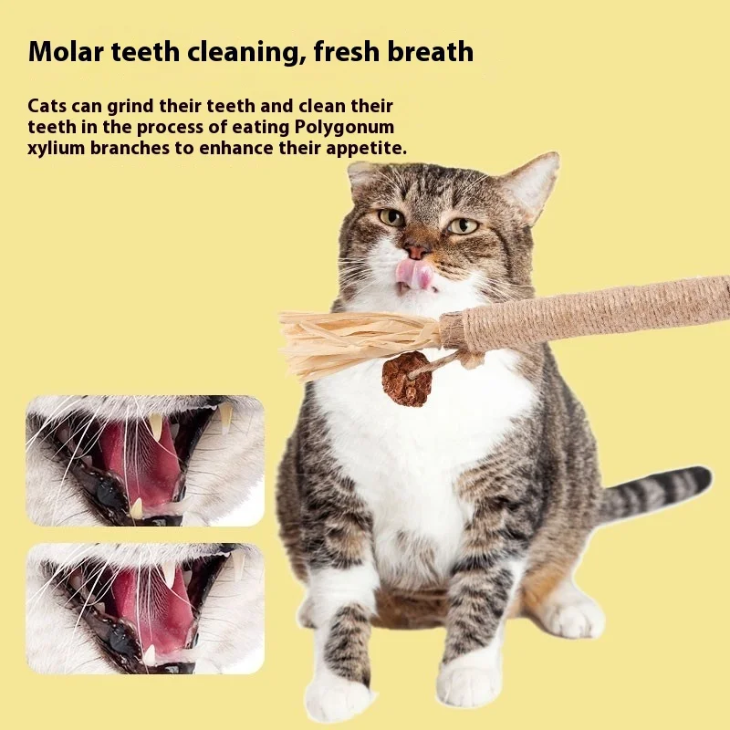 Polygonum Polygonum Molar Stick Cat Toy Self-Amusement Catnip Ball Fun Cat Stick Bite Resistant Cat Biting Cleaning Supplies