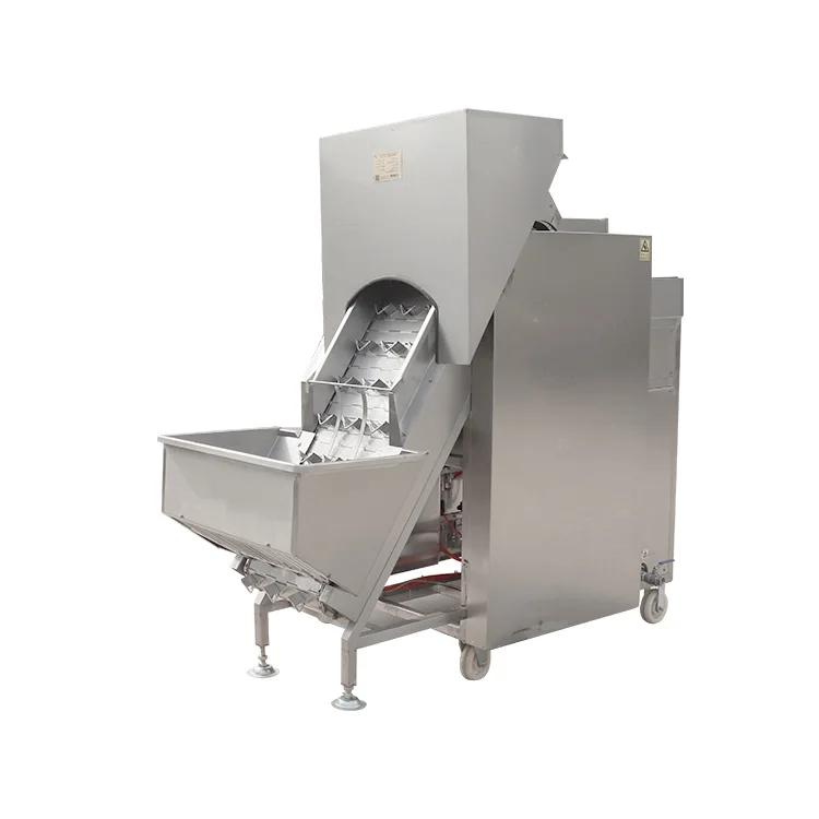 Fully automatic commercial garlic, onion, and scallion peeling machine with a capacity of 1300 kg/hour
