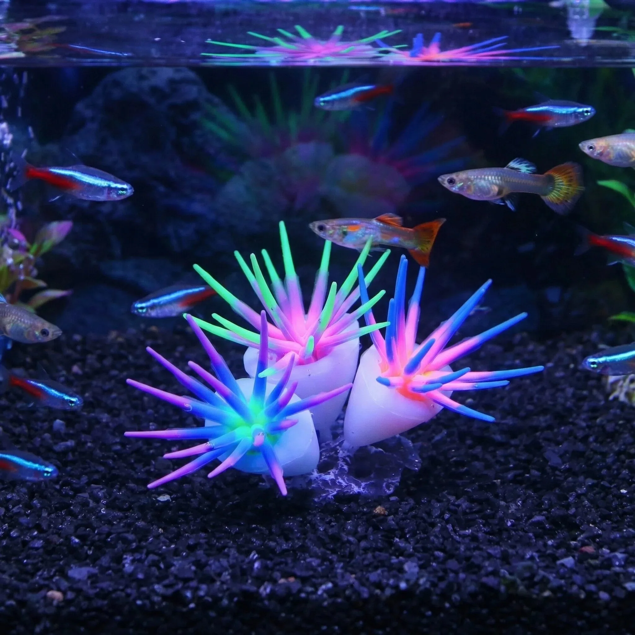 Weiche Silikon-Simulationsanemonen für Aquarien, Aquascape-Dekoration, ungiftig, schadet den Fischen nicht, Aquarium-Dekoration
