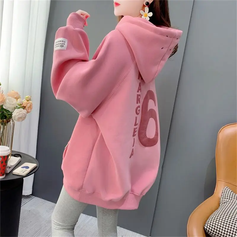 Aesthetic Korean Fashion Hoodie Clothes Sweatshirt Cute Hoodies for Women Loose Pink Casual Hooded Tops Female Streetwear Plain