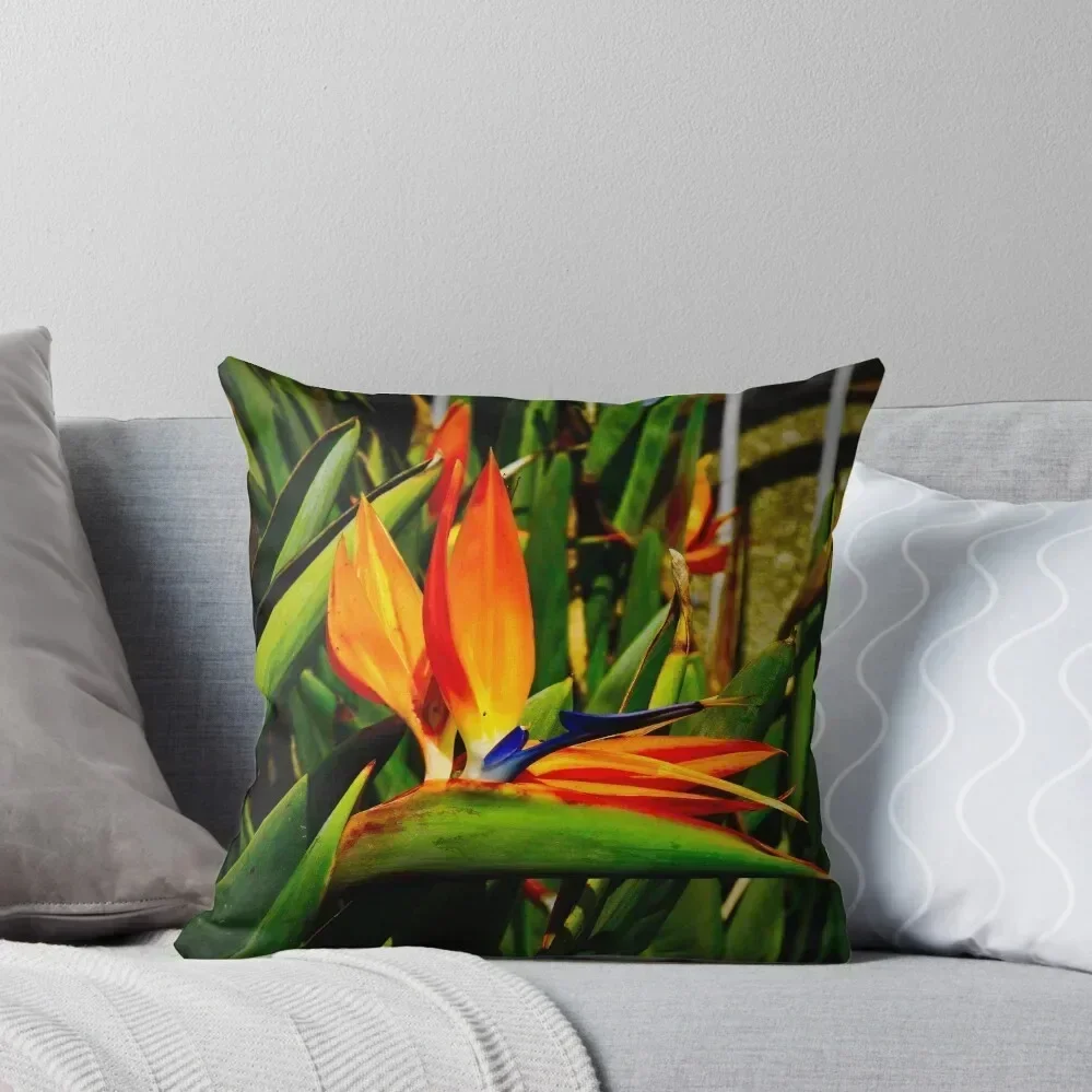 

Bird of Paradise Vibrancy Throw Pillow Christmas Pillowcase Cushion Covers For Living Room bed pillows Couch Cushions pillow