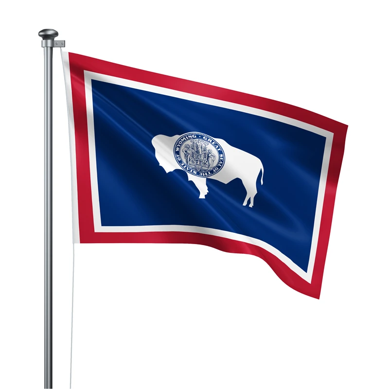 Gazlight Gatekeep Girlboss-Bannière en polyester avec œillets en laiton, 5 'x 3', Wyoming State Feel, 150cm x 90cm