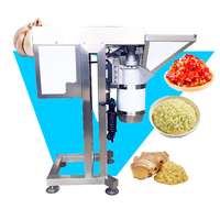 Industrial Automatic Food Potato Chili Ginger Garlic Chop Grind Grinder Crusher Fresh Fruit and Vegetable Paste Make Machine