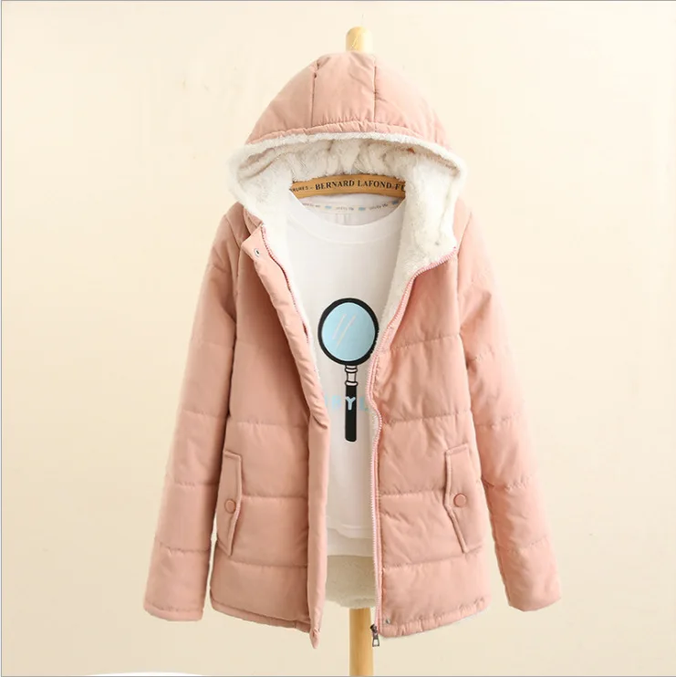 2025 Autumn/Winter New Korean Versatile Loose Hoodie Thickened Plush Cotton Jacket Women's Imitation Lamb Fleece Coat