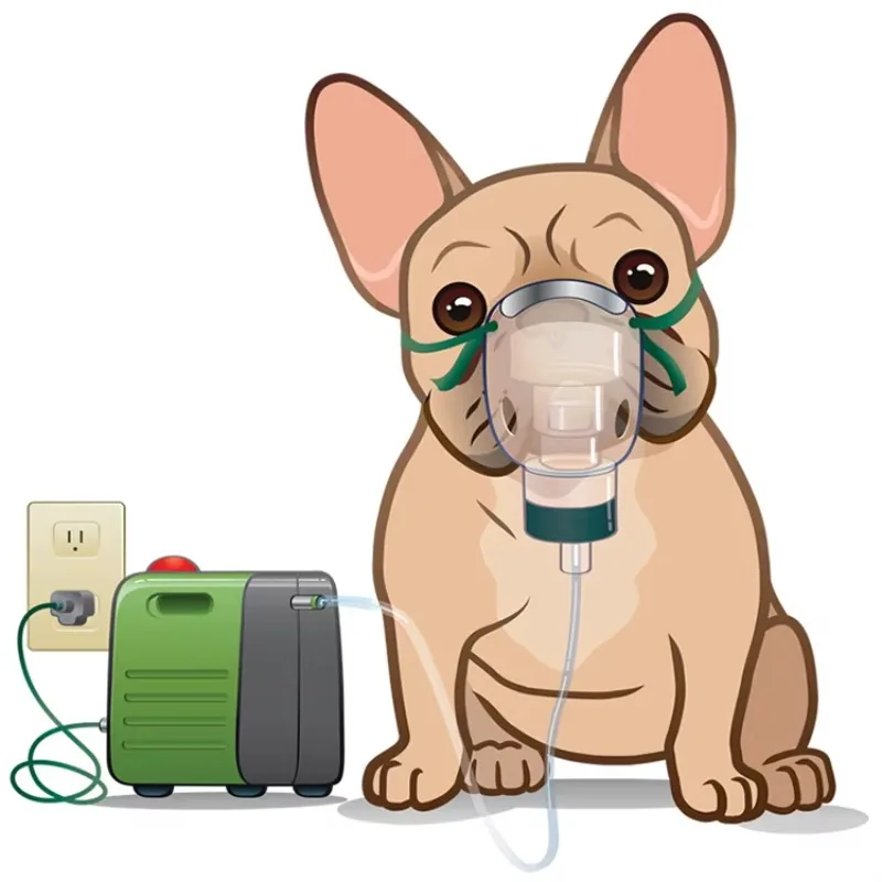 

Nebulized Dog Cat Oxygen Pet Unit Animal Nebulizer Instrument Pet Compressor Nebulizer Atomization Device