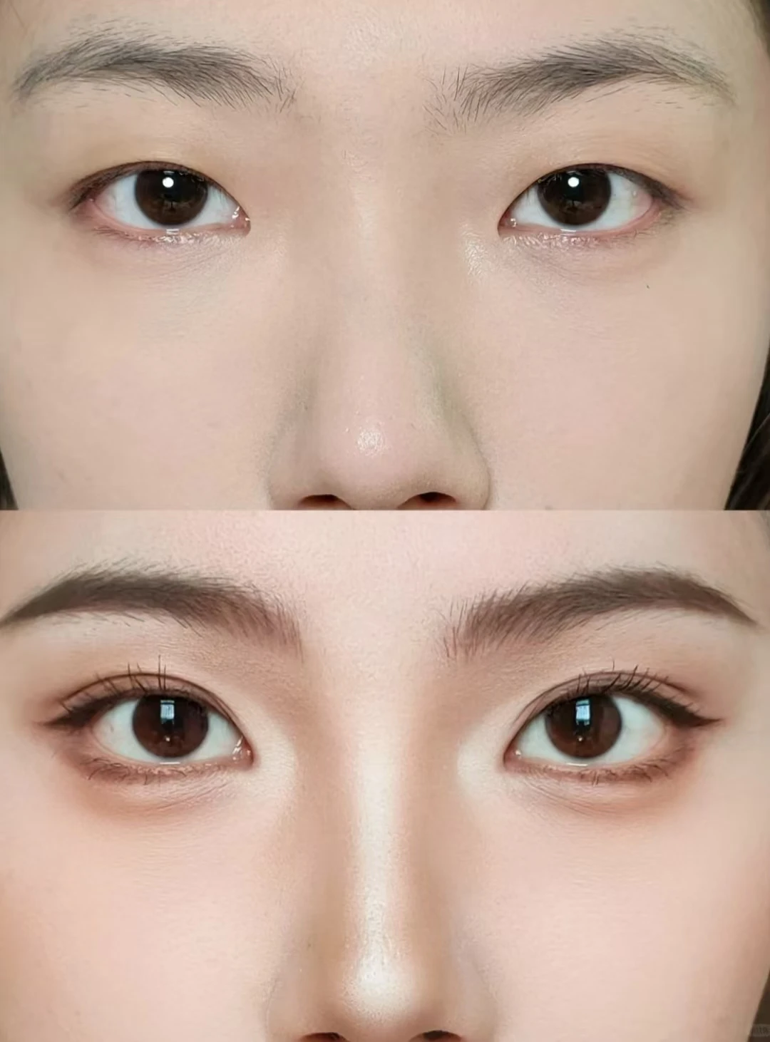 Redchamber Bronzer Contour polvo facial estereoscópico multiusos resaltador mate sombreado gradiente Color maquillaje 8g