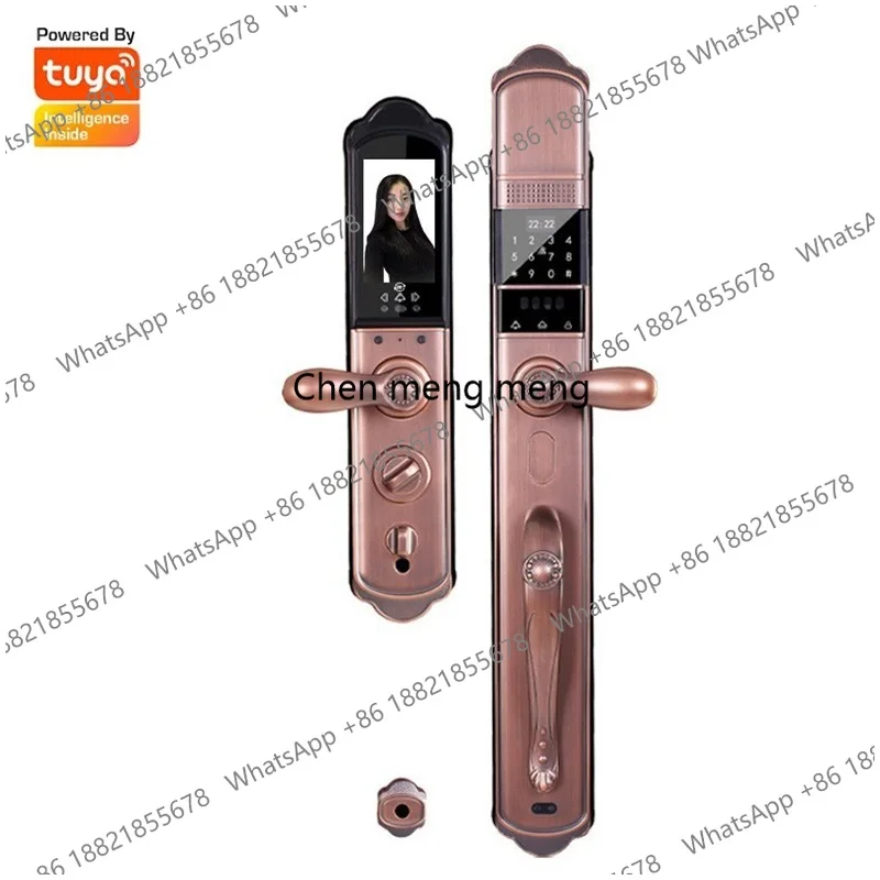 

European automatic villa gate lock facial recognition Fingerprint passcode unlock Tuya Wifi remote control Smart Home door lock