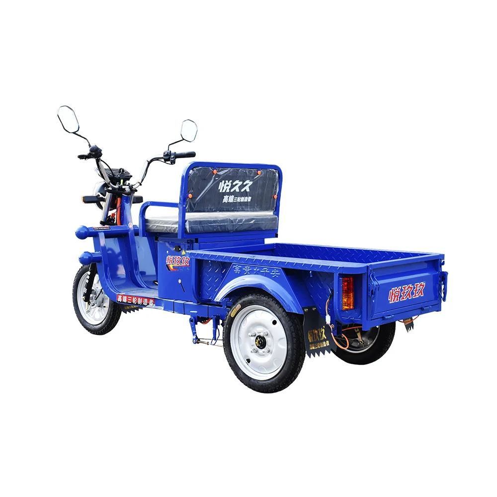 60v Electric Cargo Tricycle for Adults New Design 3-Wheel Bike 850w/1000w Motor 1m Electric Motorcycle Tricycle