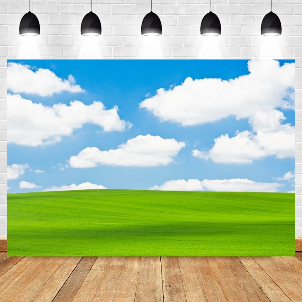 Green Grass Blue Sky Cloudy Photography Backdrop Spring Natural Landscape Baby Portrait Photographic Background Photo Studio