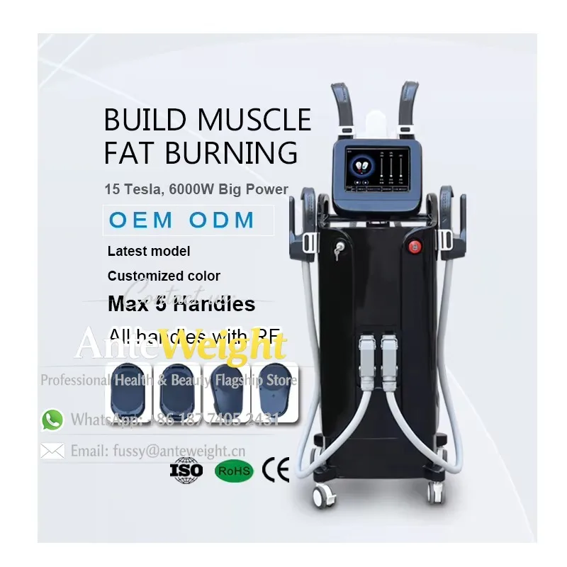 Professional Slimming Body Skin Tightening Machine 5 Handles Ems Sculpting 0~12 Tesla RF Face Weight Loss Includes IT Plugs