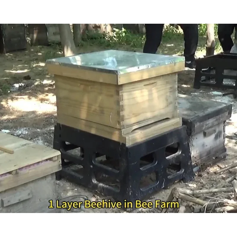 New Cheap Wooden Langstroth , One-Story 10-Frame Bee Box With Accessories, Beekeeping Equipment For Farm Use