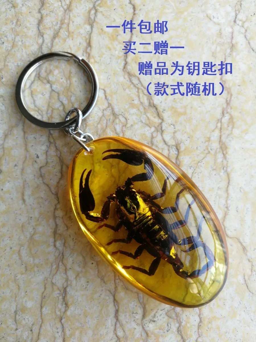 10pcs Amber Key Chain Insect Specimen Chain Pendant Scorpion Scarab Seven Star Ladybug Wasp Butterfly Car Key Ring Jewelry Gifts