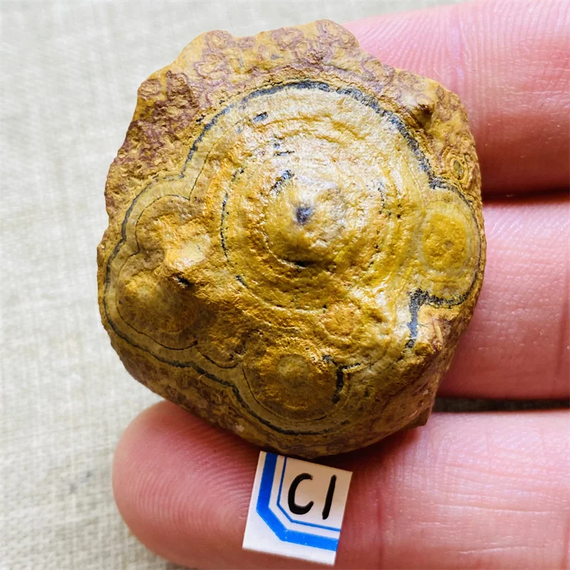 Rare Natural Gobi Stone Sardonyx Agate Palm Hand Play Witchcraft Meditation Spiritual Decor Crystals Healing - view 2