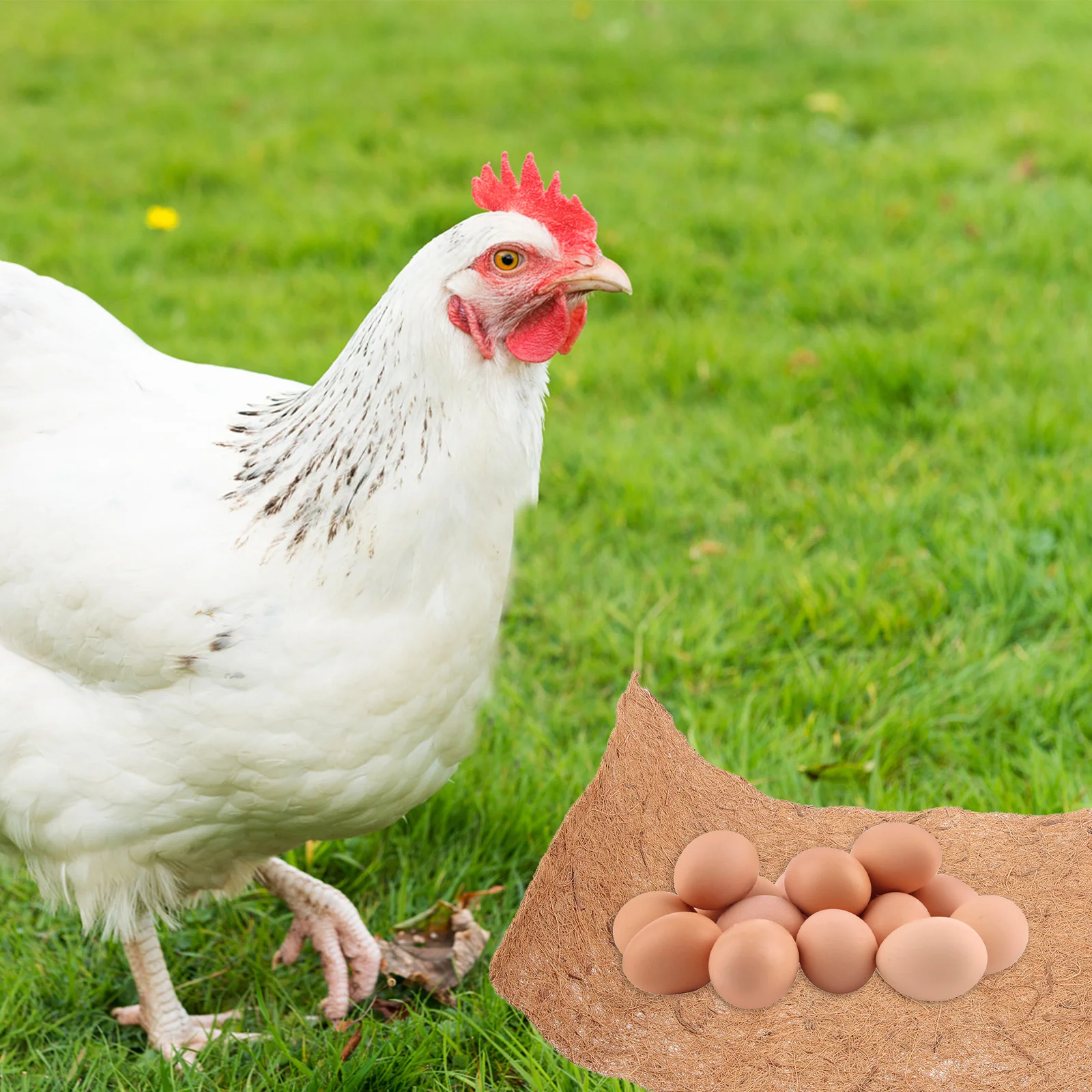 5 Pcs Coop Nesting Mats Natural Jute Fiber Cushions Reusable Indoor Chicken Coop Mats Nest Box Liners for Pets - Image 4