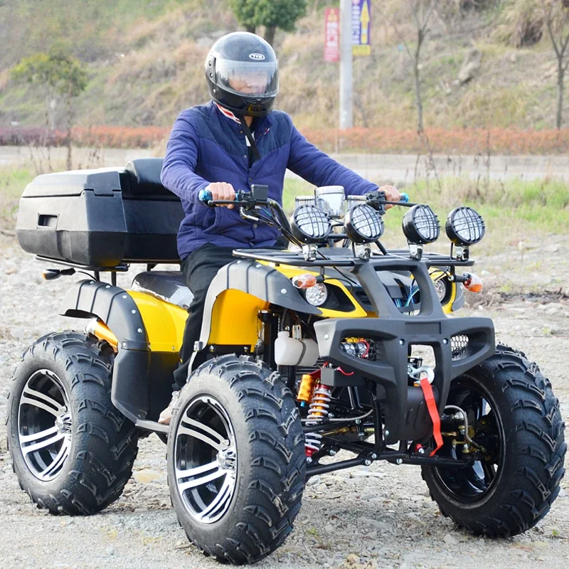Nowy dziki duch Atv 300cc 4x4