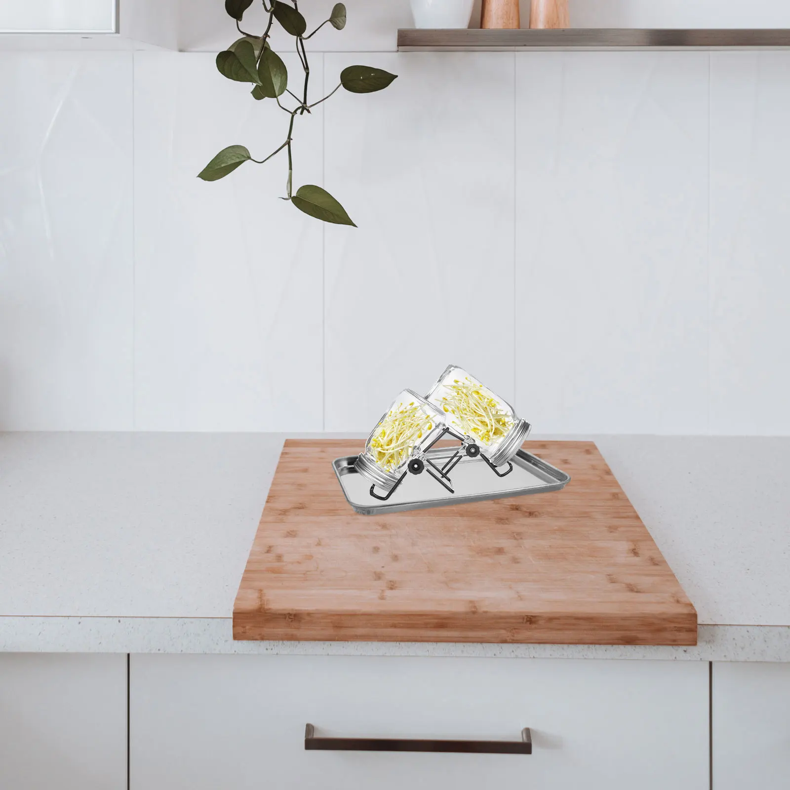 مريحة المطبخ ميسون جرة تنبت صينية مثالية البستنة المنزلية ببراعم طازجة جهد النمو صينية زراعة داخلية