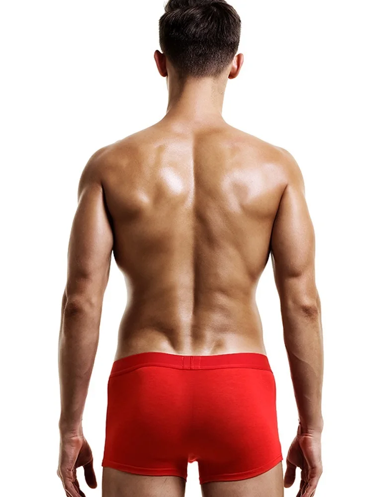 1 pieza de ropa interior para hombre, boxers para hombre, el regalo de este hombre es un cerdo rojo, bóxer fino de boda, pantalones cortos inferiores