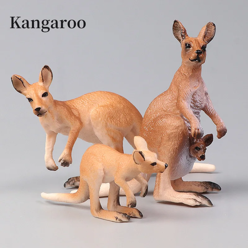 مجموعة الكنغر العالمية للحياة البرية الجديدة، ألعاب تعليمية للأطفال على شكل حيوانات محاكاة صلبة #3