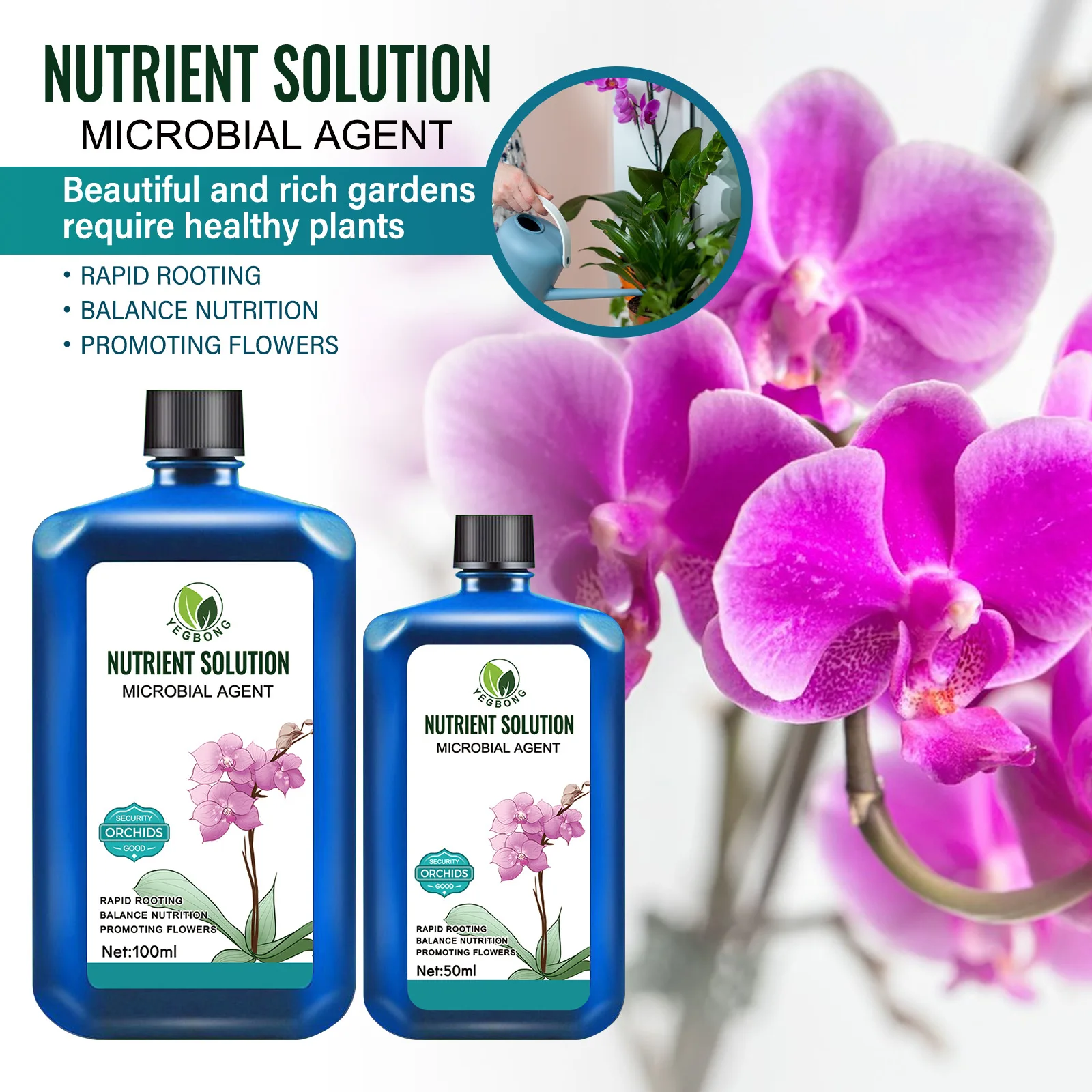 

Plant Nutrient Solution Promoting Growth Plant Growing Nutrient Bamboo Flowers Vegetable Fruit Hydroponic Plant Food Solution