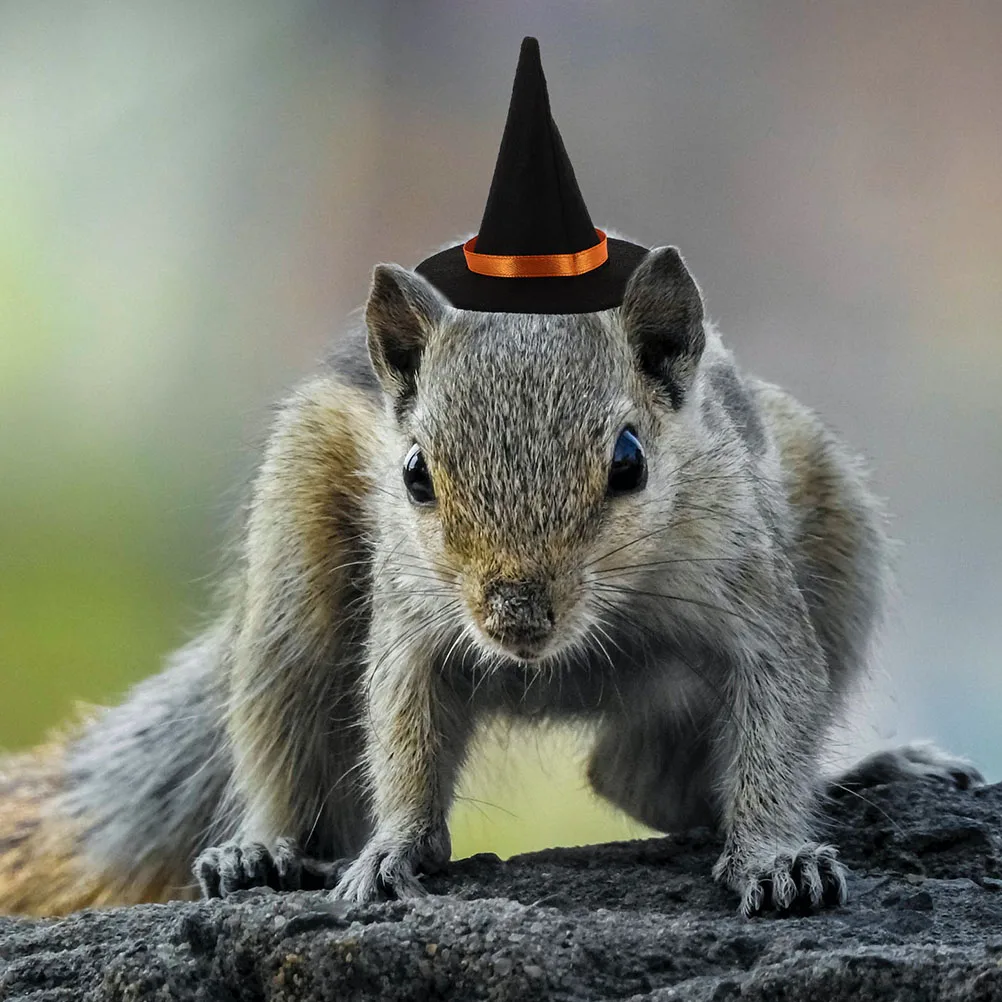 

1 set Small Pet Witch Hat Adjustable For Hamster Lizard Guinea Pig Halloween Party Decor Festival Headdress Bowtie Scarf Cosplay