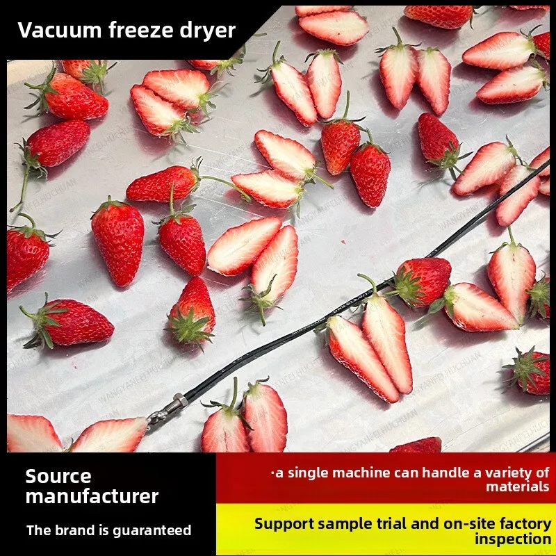 

Red Heart Support Inspection Sample Vacuum Drying Machine Cylinder Food Grade Freeze Dryer Equipment
