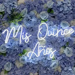 Mis Quince Años 네온 사인 USB 디 밍이 가능한 LED 네온 불빛 벽 장식 흰색 Quinceanera 네온 생일 선물 Quince Light Up Sign