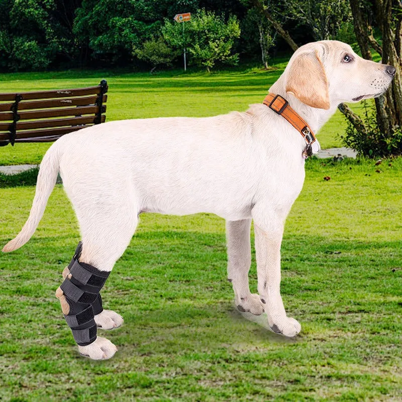 Pet Sports Knee Brace Dog Surgery Recovery Protection Joints Pet Knee Brace Pet Supplies Style Wear Resistant Comfortable