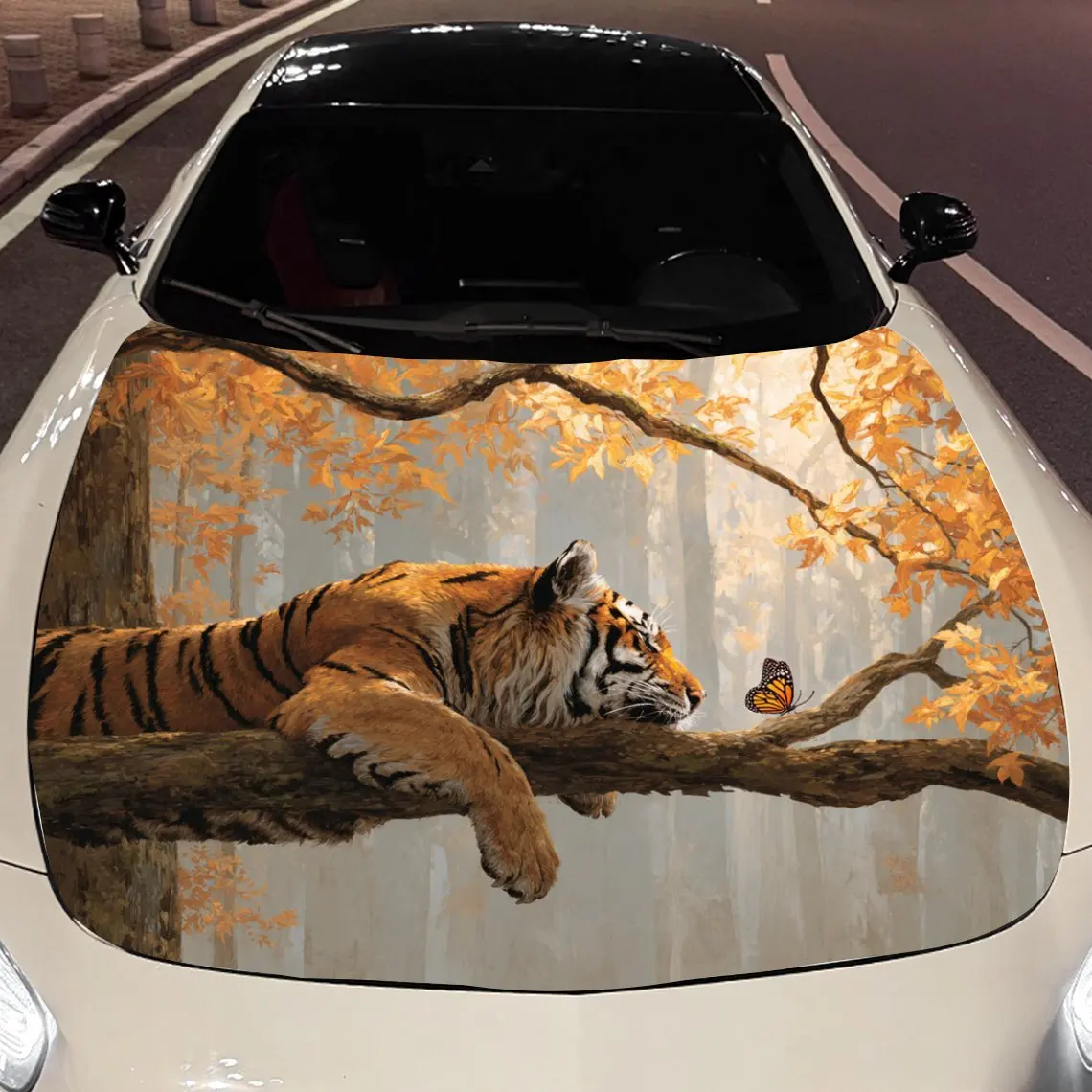 

Car Decals A Tiger With A Relaxed And Natural Aura In An Autumn - Themed Backdrop Car Hood Sticker, Waterproof Self - Adhesive V