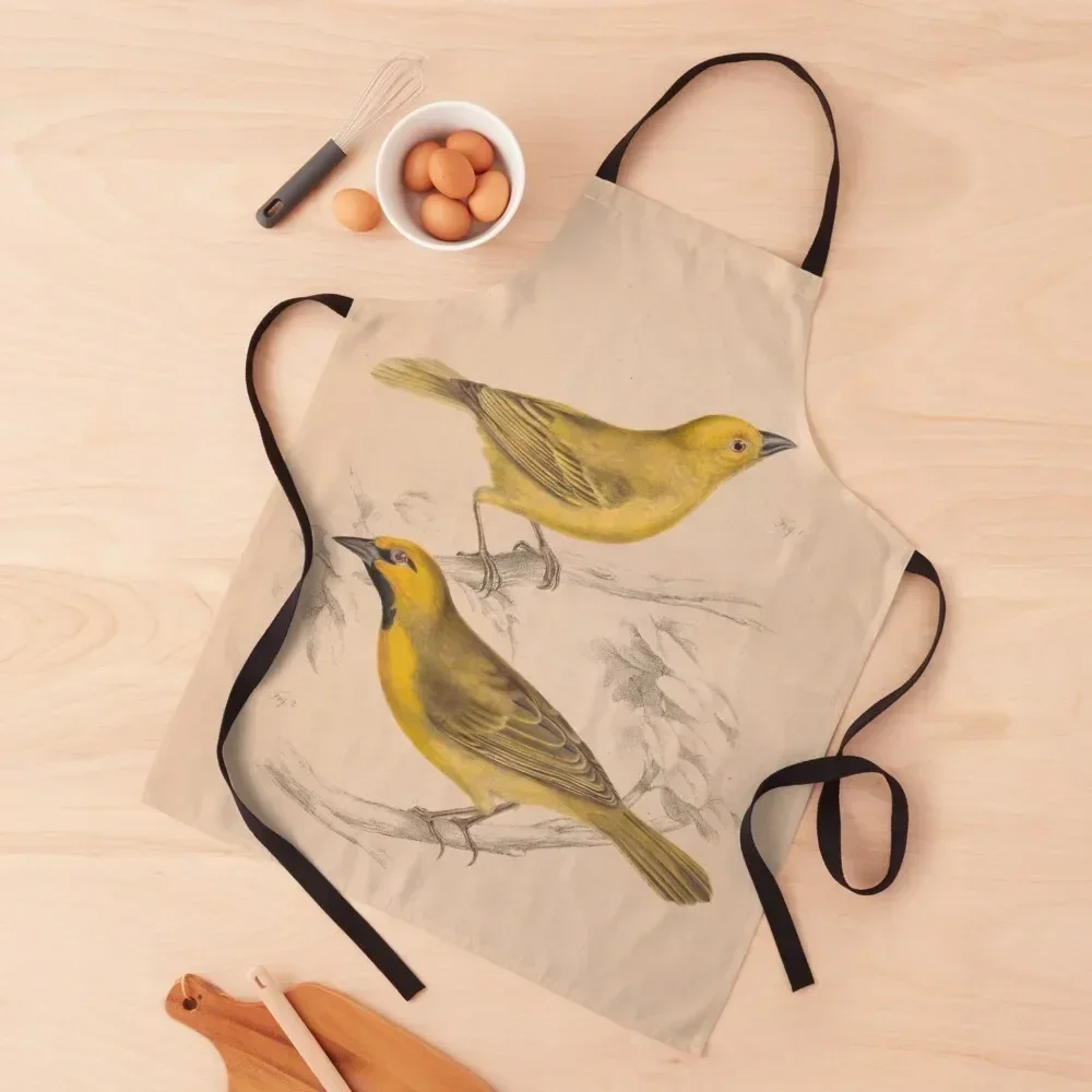 

American Goldfinch Apron Kitchen Household Items restaurant accessories Home And Kitchen Trim Cloth Apron