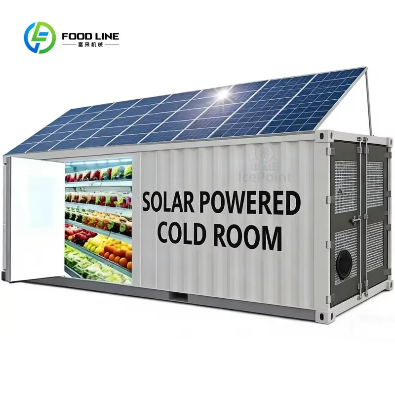 Customized 20FT Mobile Solar Powered Walk-in Freezer Cold Room for Seafood Meat Vegetable Storage High Efficiency Blast Chiller