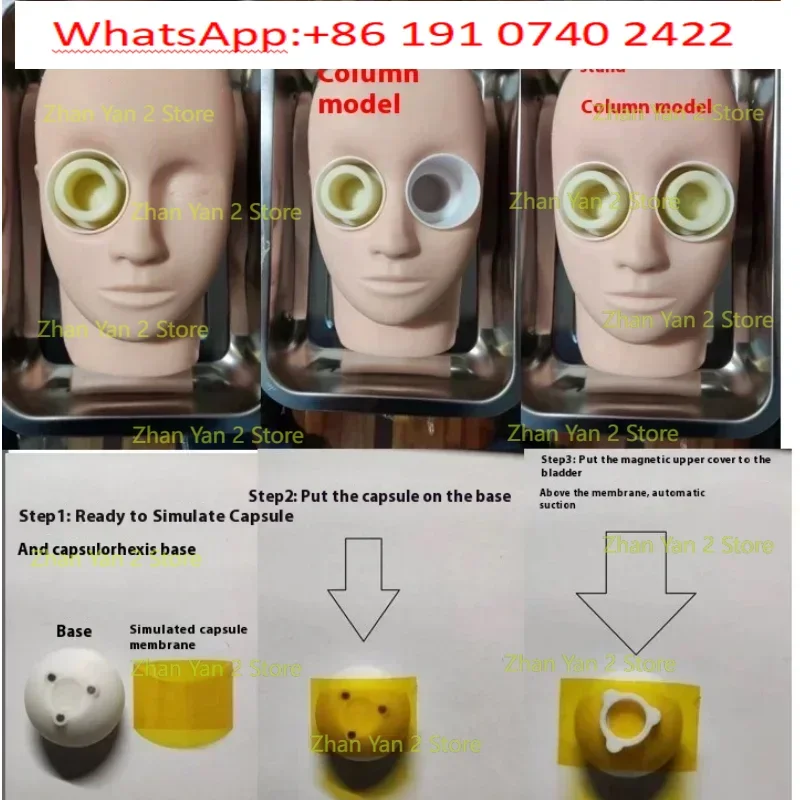1PCS genuine ophthalmic surgery practice model, human head model, eye fixator pig eye
