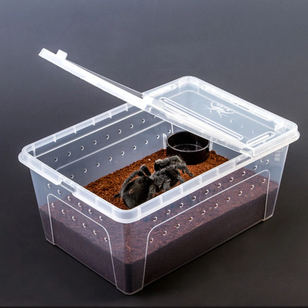 

10 Pcs Reptile Feeder Bowls Durable Plastic Tortoise Gecko Food Supplies Random Color Easy Cleaning Hanging Design Practical Pet