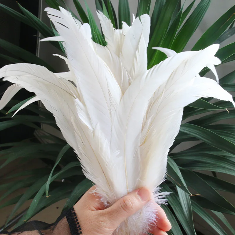 

White 20/50/100pcs Rooster Tail Feathers for DIY Crafts Carnival Clothing Costume Accessories Decor Supplies Feathers