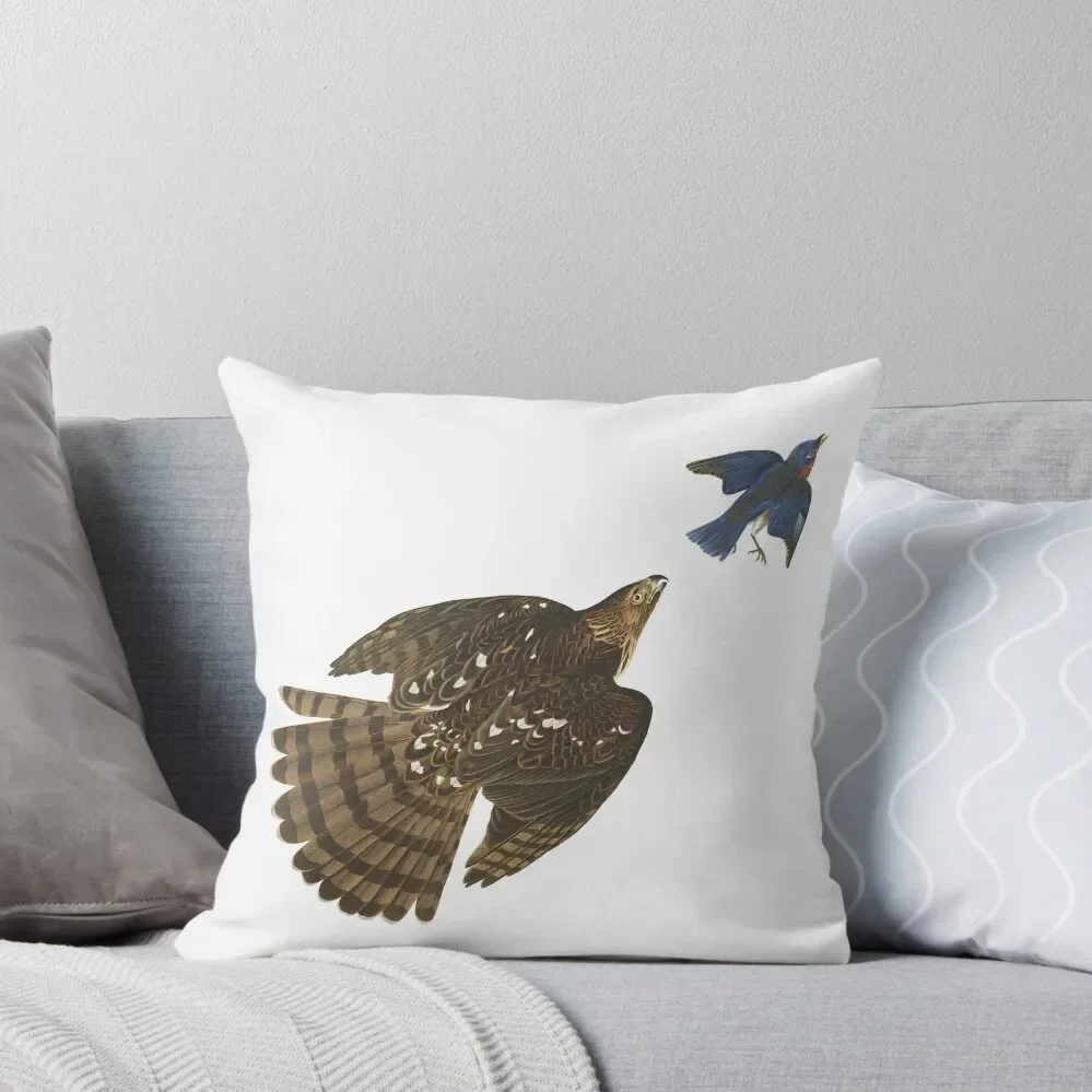Cooper's Hawk - John James Audubon Throw Pillow Room decorating items Pillow Cover Decorative Pillow Covers For Sofa