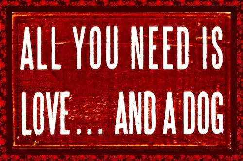 *ALL YOU NEED IS LOVE AND DOG* MADE IN HAWAII METAL SIGN 8X12 FUNNY PET OWNER