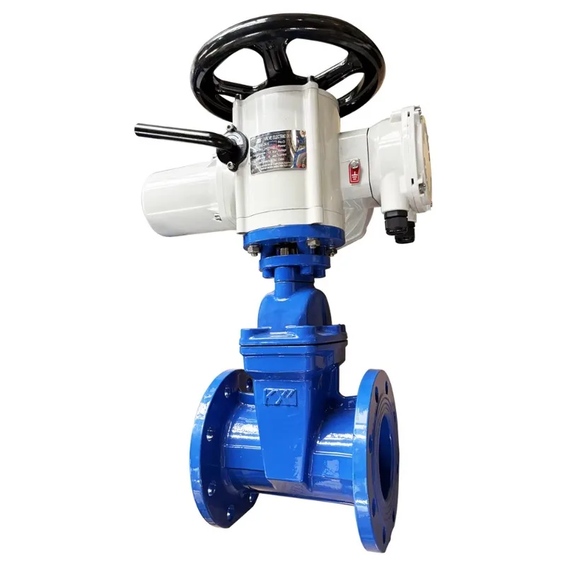 DN50-DN1200 PN16 BS DIN مقعد مرن قياسي F4 بوابة صمام للمياه دليل DI القناة الحديد OSY ونوع NRS QT450 #2